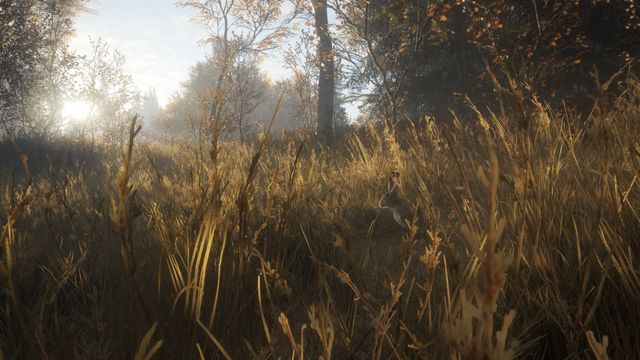 theHunter Call of the Wild — скриншот 7