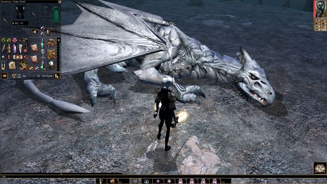 Neverwinter Nights — captura 4