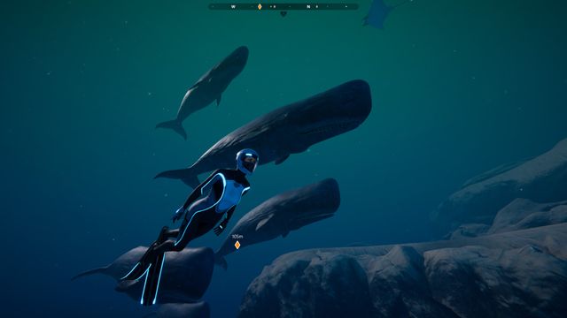 Beyond Blue — screenshot 2