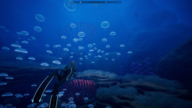 Beyond Blue — screenshot 3