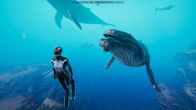 Beyond Blue — screenshot 1