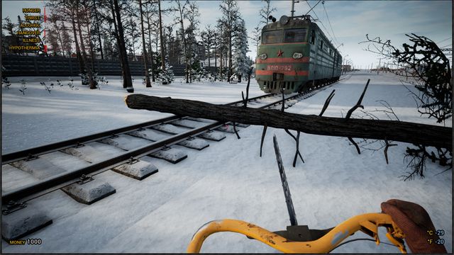 Trans Siberian Railway Simulator — скриншот 2