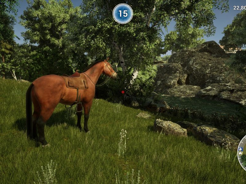 Animal Doctor — скриншот 4