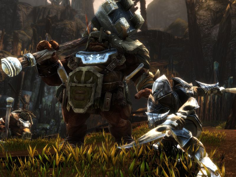 Kingdoms of Amalur Re Reckoning — скриншот 2