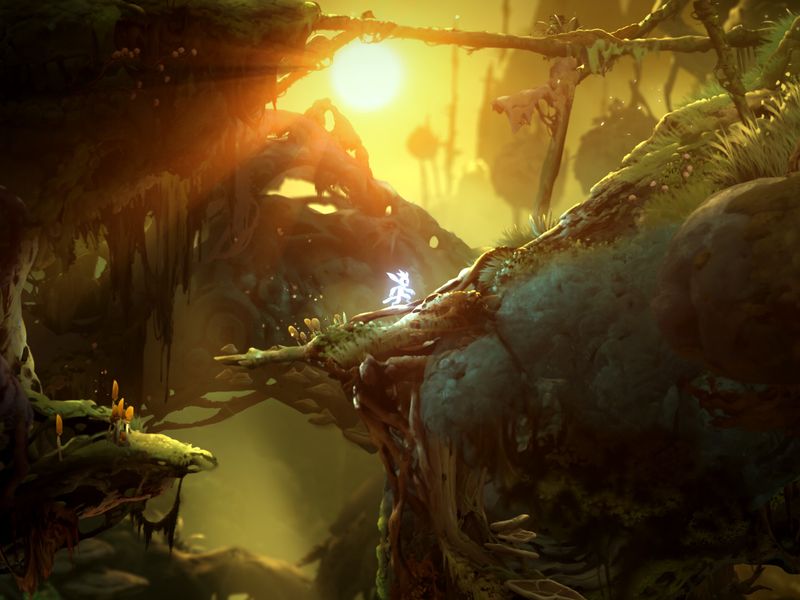 Ori and the Will of the Wisps — скриншот 7