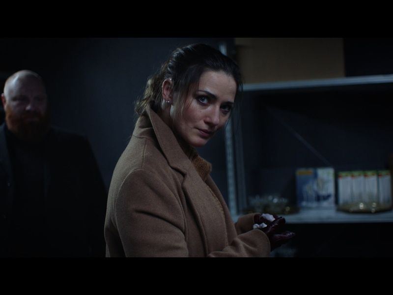 She Sees Red — скриншот 1