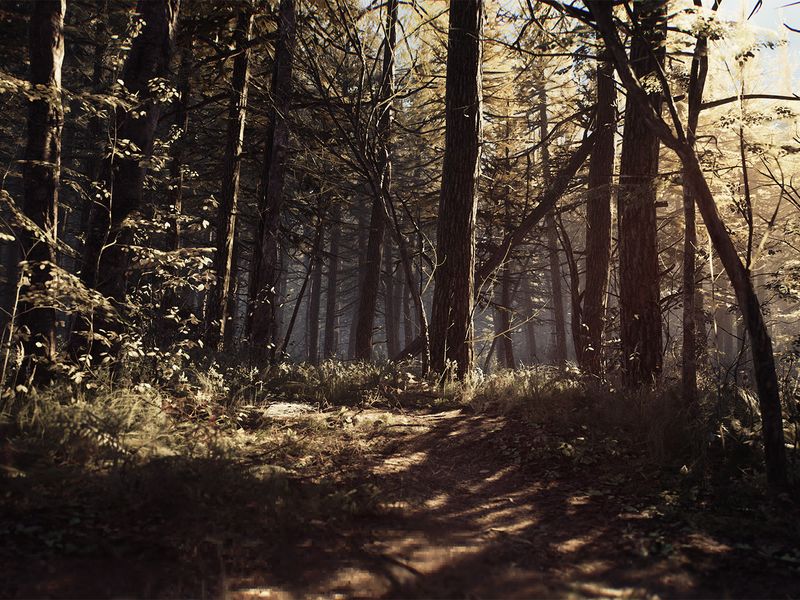 Blair Witch — скриншот 4