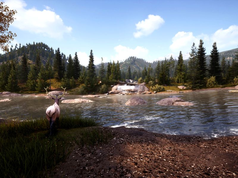 Hunting Simulator 2 — скриншот 4