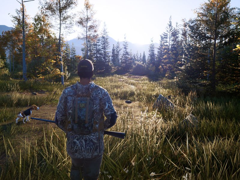 Hunting Simulator 2 — скриншот 1