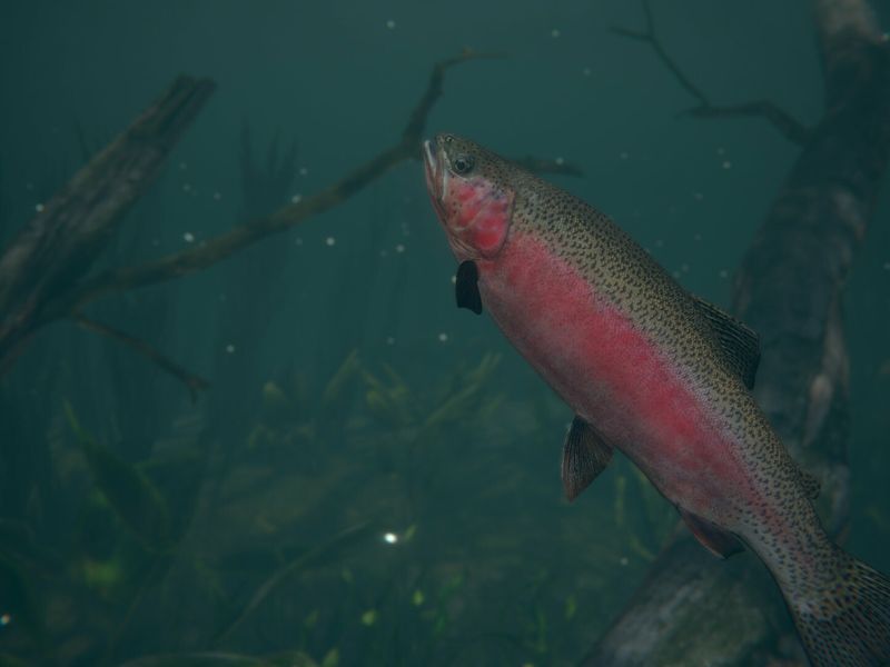 Скриншот 1 — Ultimate Fishing Simulator 2