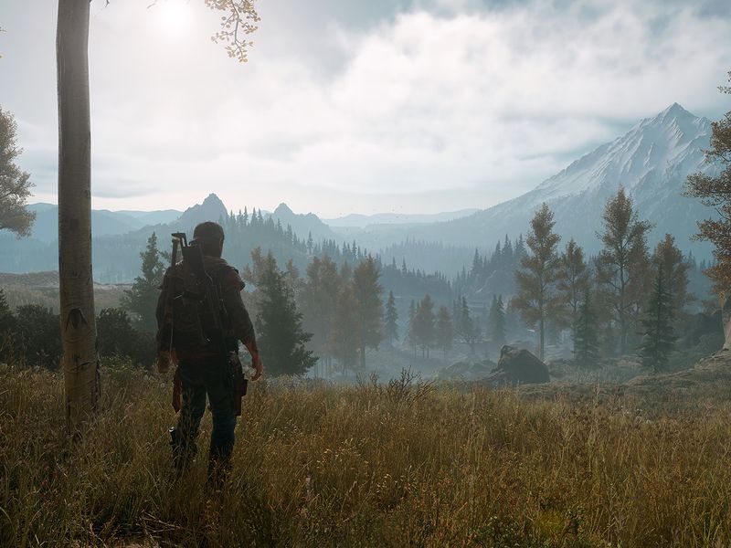 Days Gone — скриншот 6