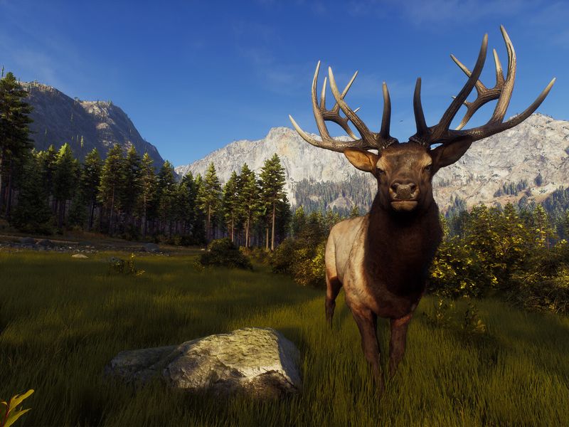Way of the Hunter — скриншот 1
