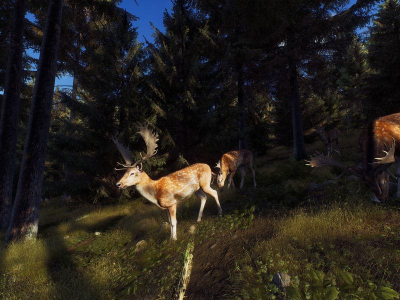 Way of the Hunter — скриншот 2