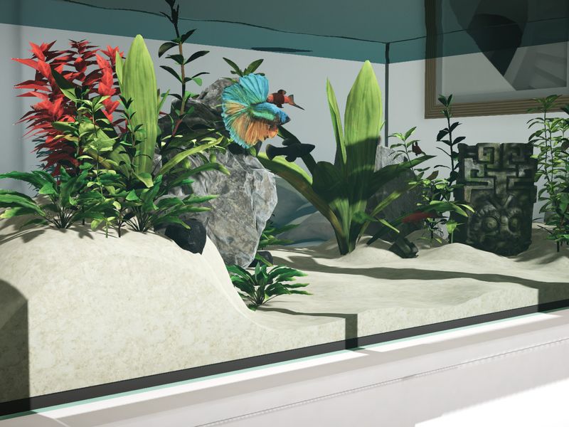 Скриншот 4 — Aquarium Designer