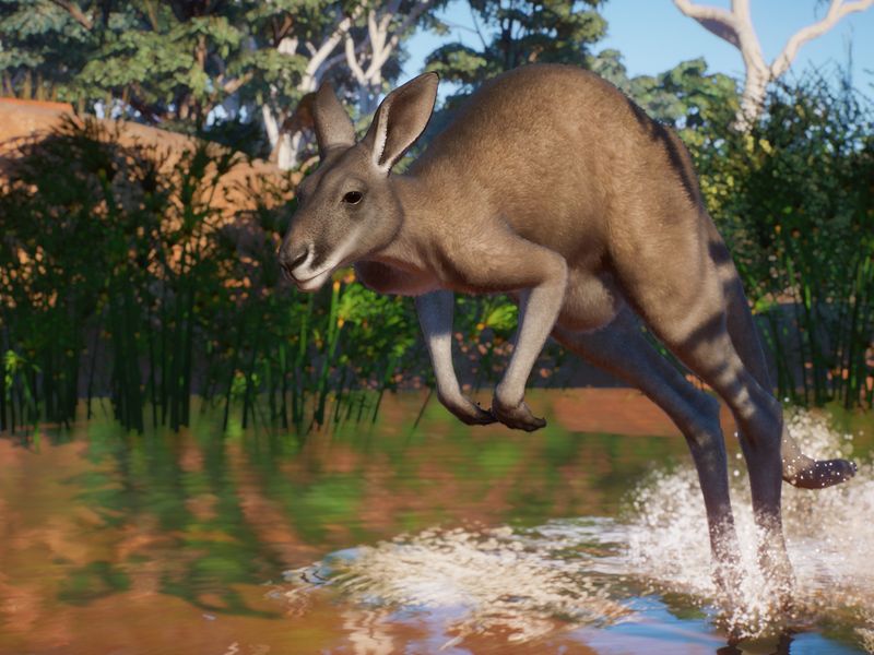 Planet Zoo Australia — скриншот 4