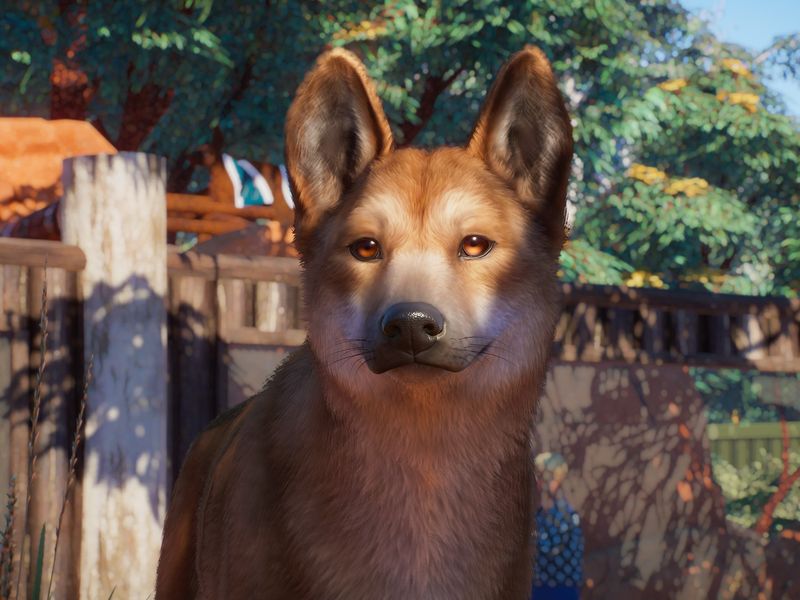 Planet Zoo Australia — скриншот 6