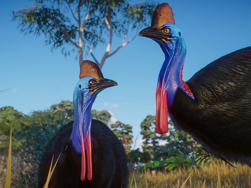 Planet Zoo Australia — скриншот 8