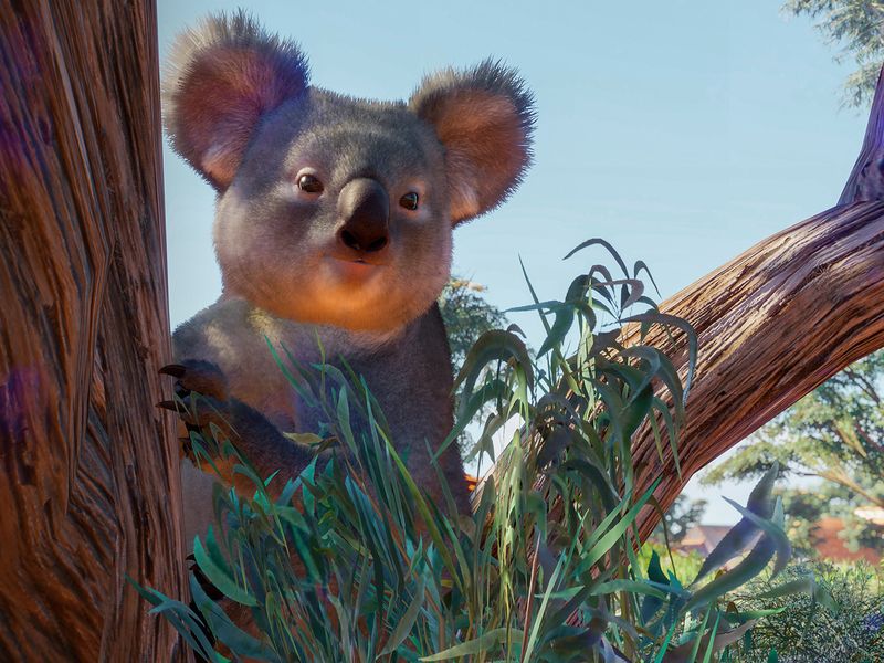 Planet Zoo Australia — скриншот 2