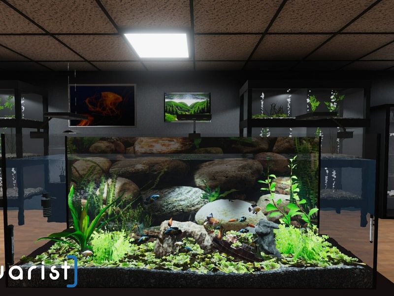 Скриншот 1 — Aquarist