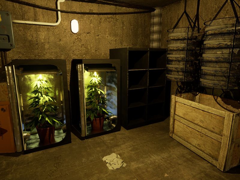 Скриншот 2 — Drug Dealer Simulator 2
