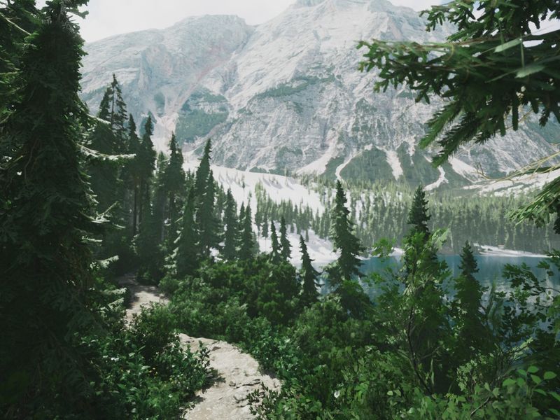 Lushfoil Photography Sim — скриншот 1