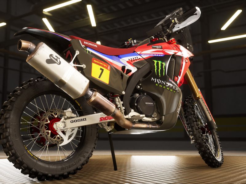 Dakar Desert Rally — скриншот 5