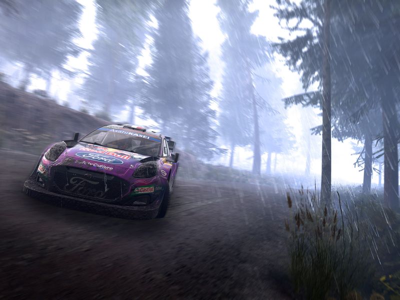 WRC Generations — screenshot 2