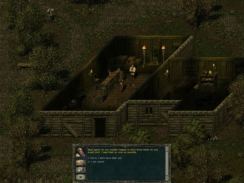 Divine Divinity — скриншот 4
