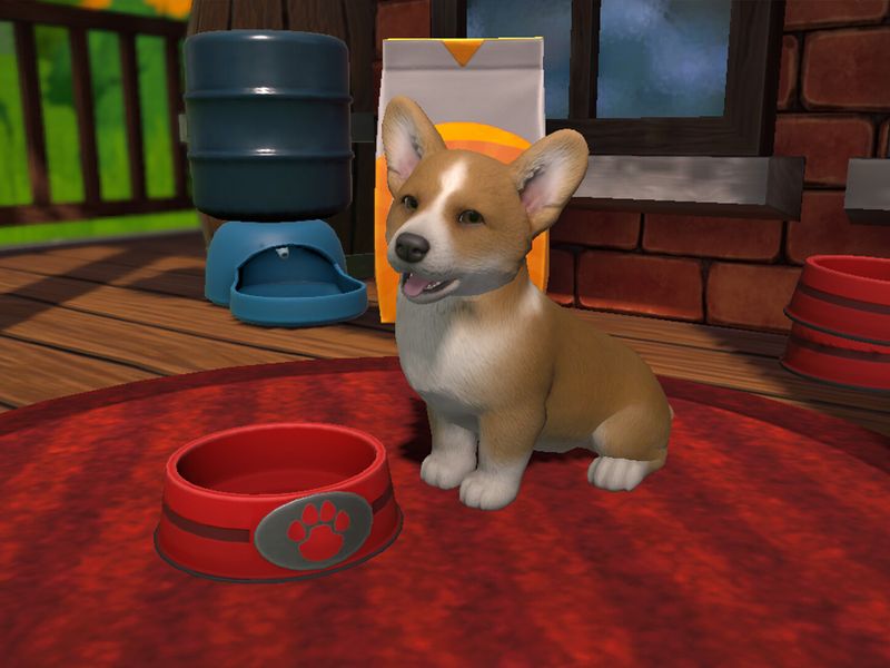 Little Friends Puppy Island — скриншот 2