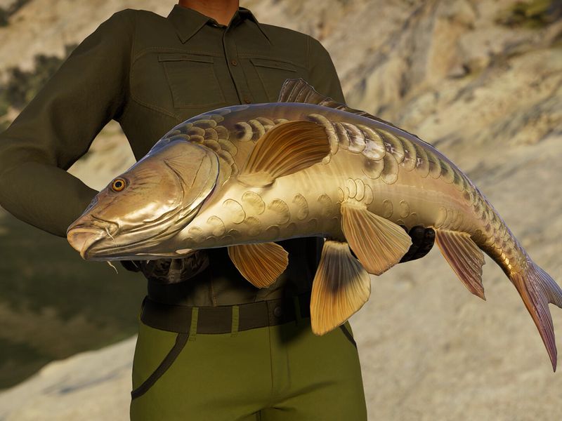 Call of the Wild The Angler Spain Reserve — скриншот 7