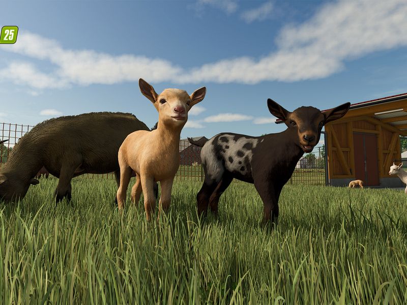 Farming Simulator 25 — скриншот 4