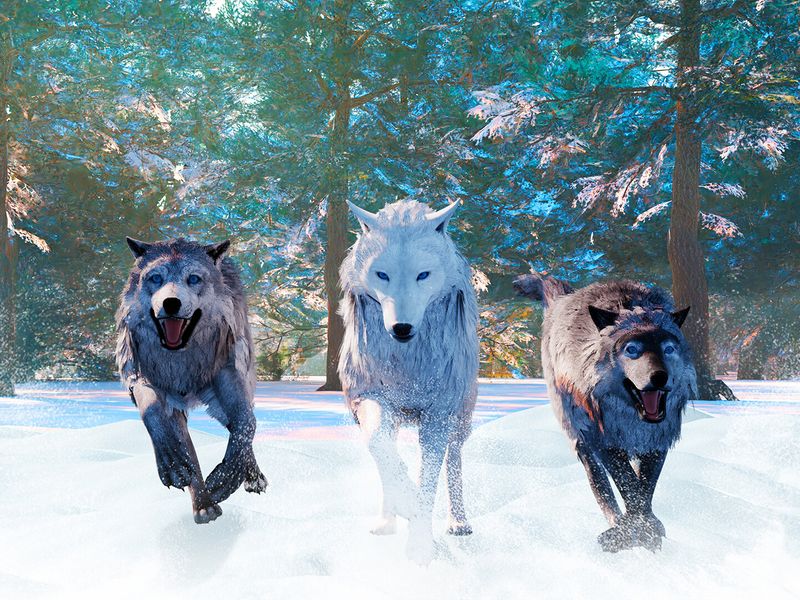 Wolf Simulator — скриншот 1