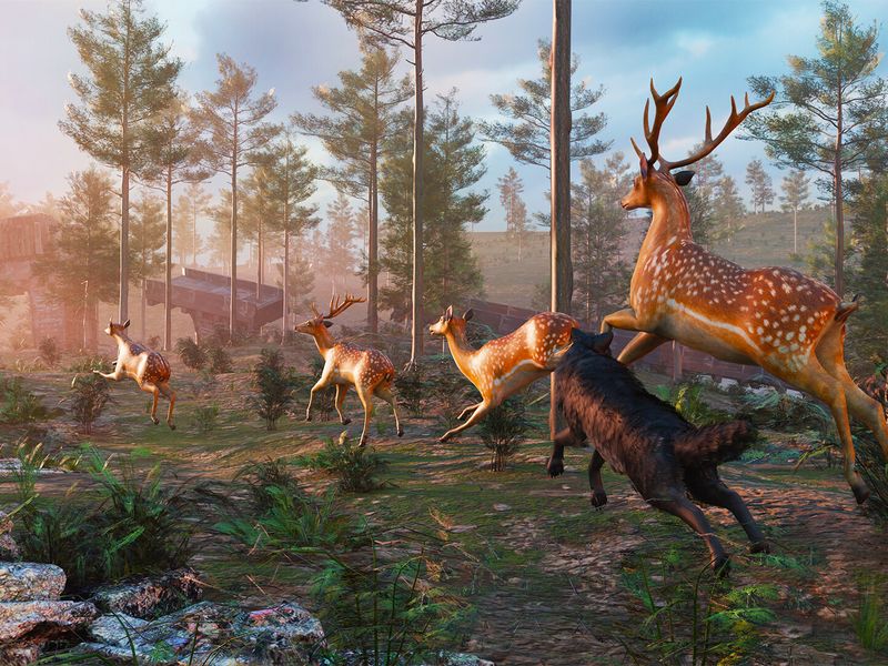 Wolf Simulator — скриншот 3