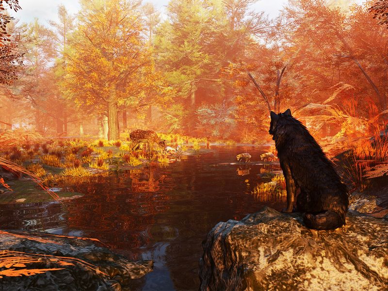 Wolf Simulator — скриншот 5