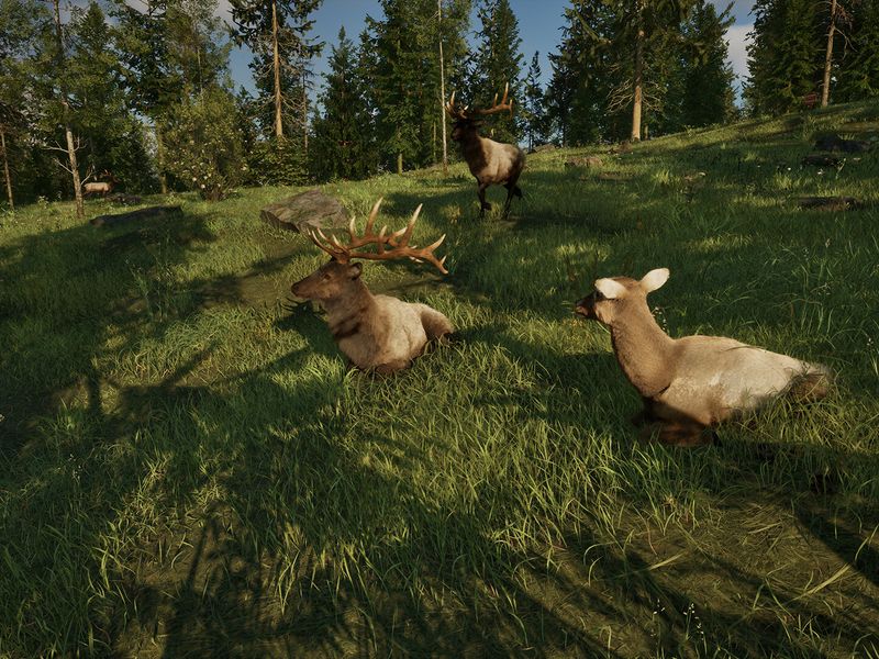 Ranger’s Path National Park Simulator — screenshot 6