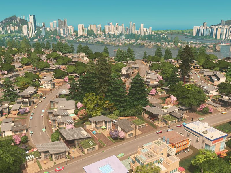 Cities Skylines — скриншот 1