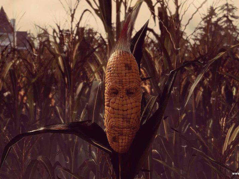 Maize — скриншот 1