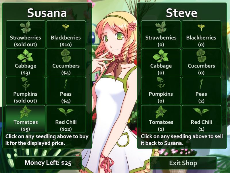 Flower Shop Summer In Fairbrook — скриншот 2