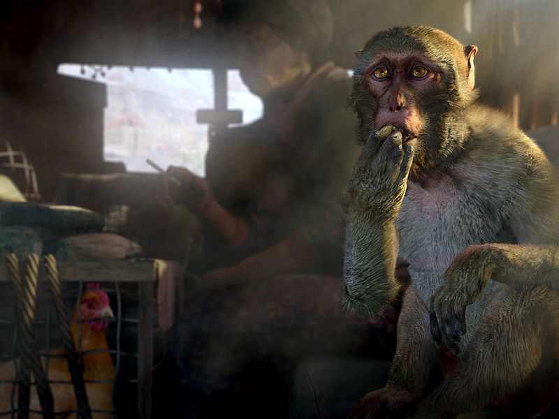 Far Cry 4 — скриншот 3