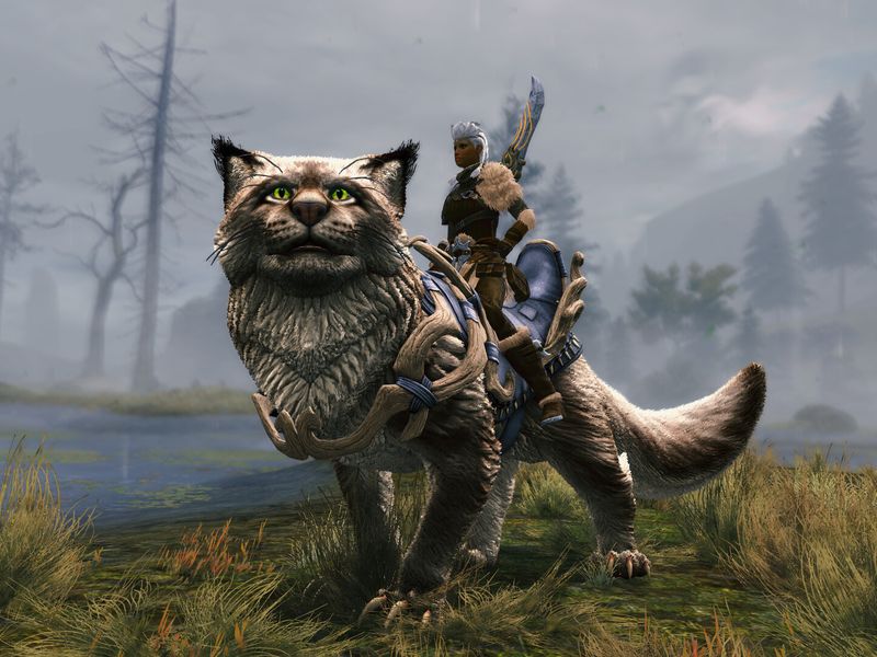 Guild Wars 2 Janthir Wilds — скриншот 4