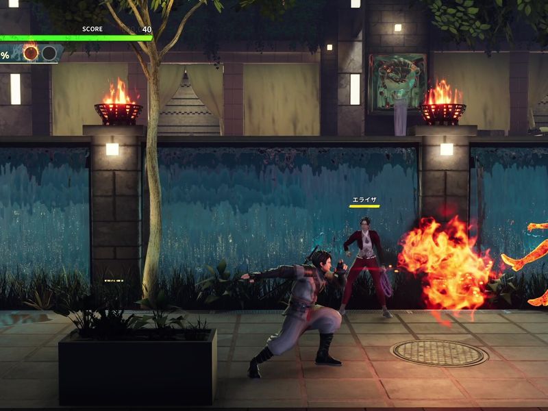 Double Dragon Revive — скриншот 3