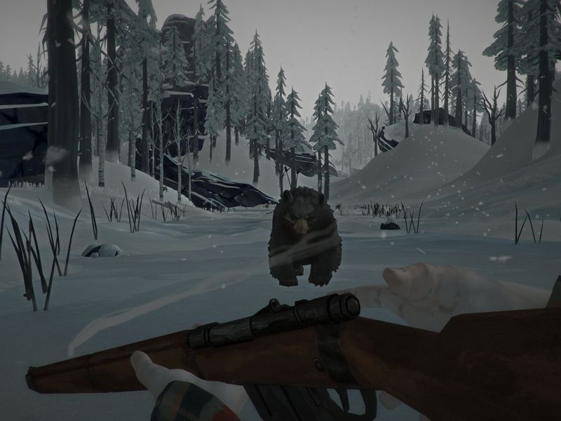 The Long Dark Survival Edition — скриншот 4