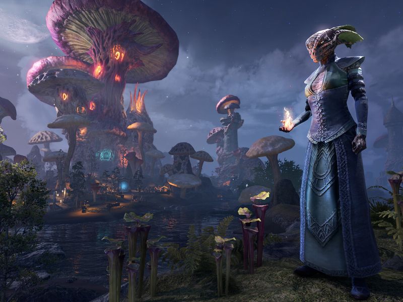 The Elder Scrolls Online — скриншот 5