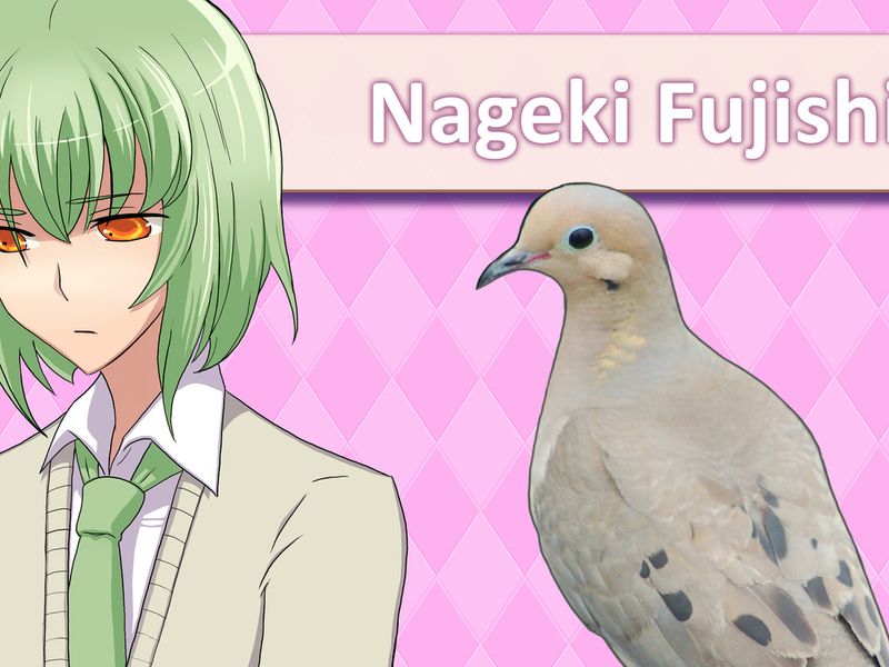 Hatoful Boyfriend — скриншот 5