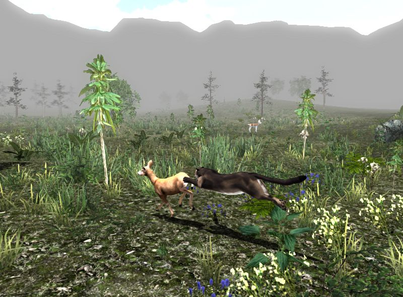 Untamed Life Of A Cougar — скриншот 4