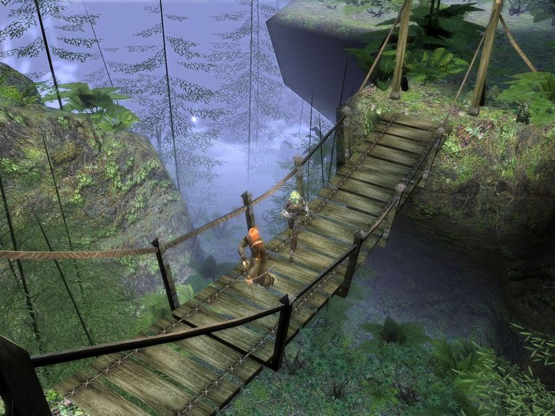 Dungeon Siege II — скриншот 1