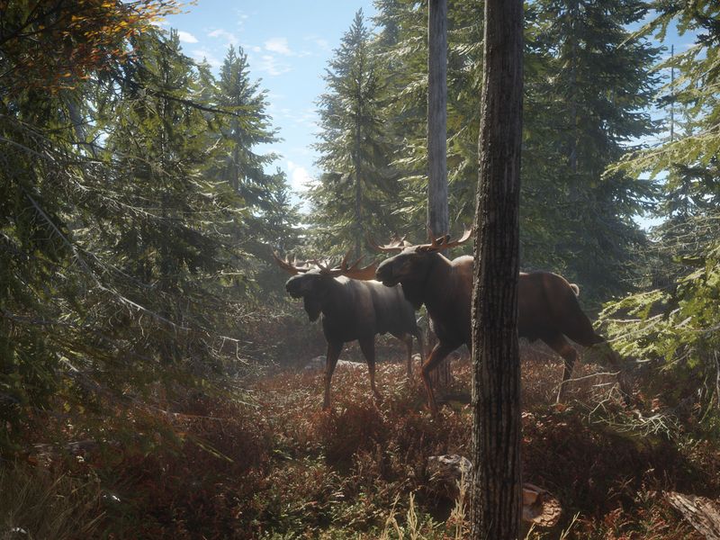 theHunter Call of the Wild — скриншот 1