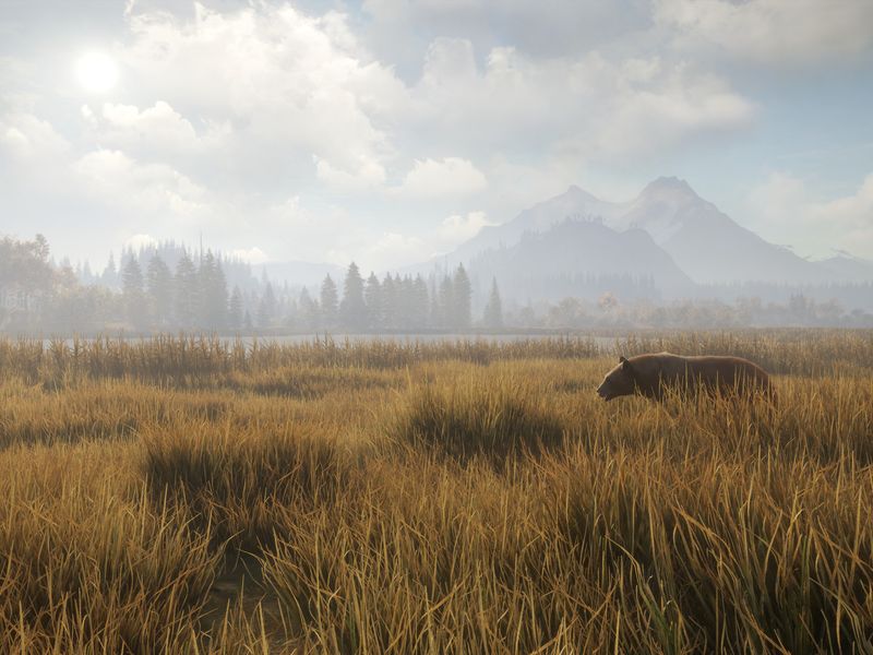 theHunter Call of the Wild — скриншот 2