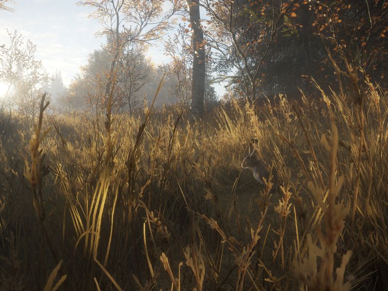 theHunter Call of the Wild — скриншот 7