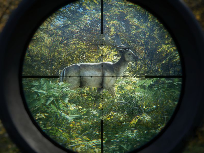 theHunter Call of the Wild — скриншот 3